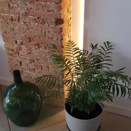 Apartment Loft Mariola - En El Centro Historico *